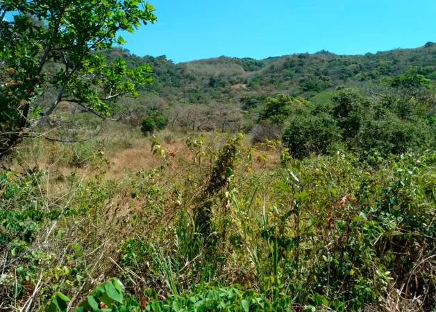 Land in Chicá Chame 4 hectares take advantage of the offer