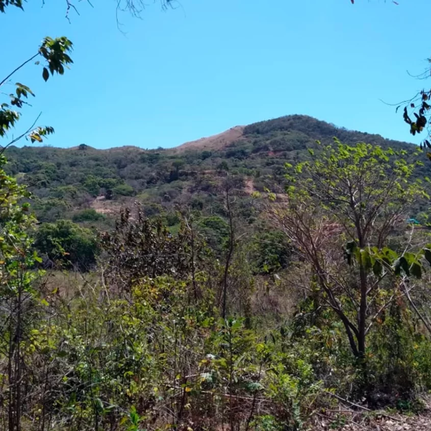 Land in Chicá Chame 4 hectares take advantage of the offer